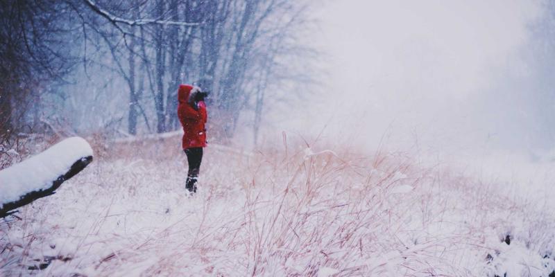 从标会到数字社区：金融互助的千年演变与金济难时期的理财规划启示