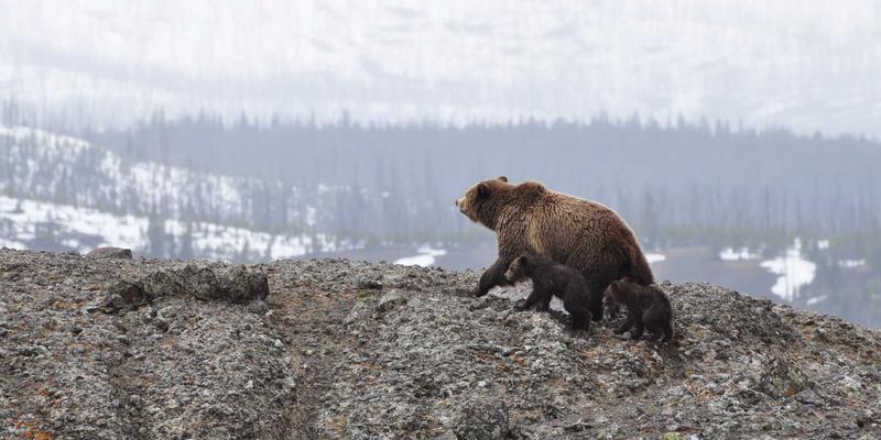后疫情时代中小企业如何破局？创新理财规划与金融互助破解现金流“金济难”