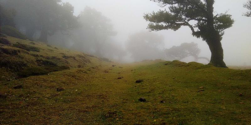 智能合约重塑金融互助：区块链自动化协议的设计逻辑与风险解析