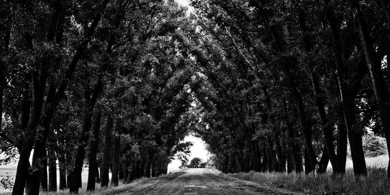 警惕金融互助社群中的KOL陷阱：如何识别与防范意见领袖引发的投资羊群效应