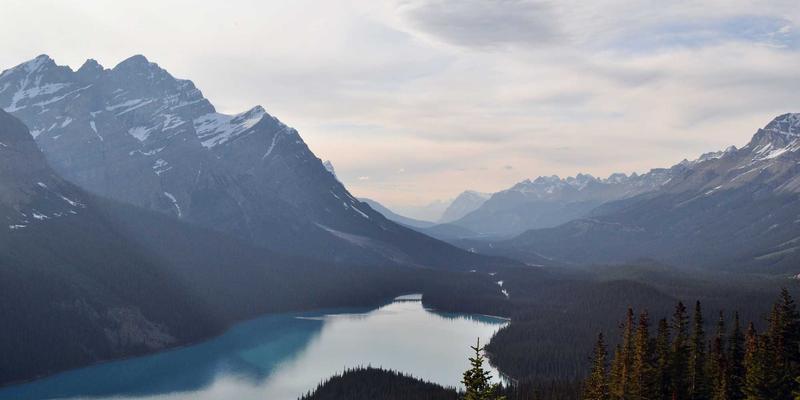 金济难时代，如何通过投资理财与商业保险的互补规划守护财富安全