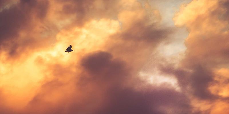 金融互助3.0时代：从‘金济难’困境到智慧财富管理的破局之路