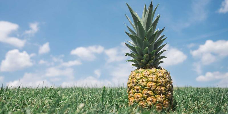 金融互助50：当‘金济难’来袭，如何通过理财规划与投资理财构建家庭安全网？