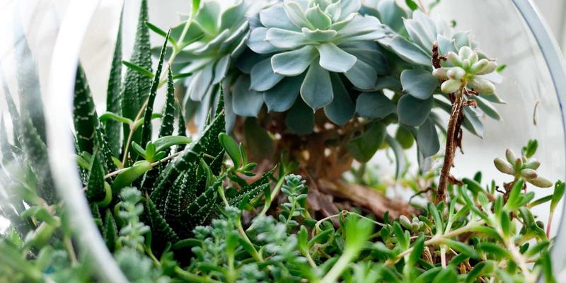 金融互助56：当金融服务遇上经济困境时的投资理财新思路