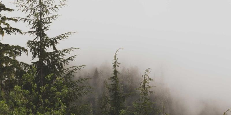 金融互助72：揭秘其背后的投资理财逻辑与财富管理陷阱