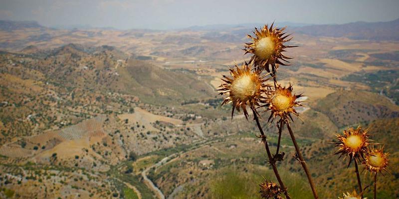 金融互助与行为经济学：从利他主义到互惠共赢的心理动因与财富管理启示