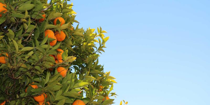 金融互助与财富管理:破解'金济难'时代的新思路