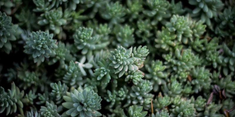 金融互助如何提升低收入群体金融包容性？投资理财与财富管理新路径