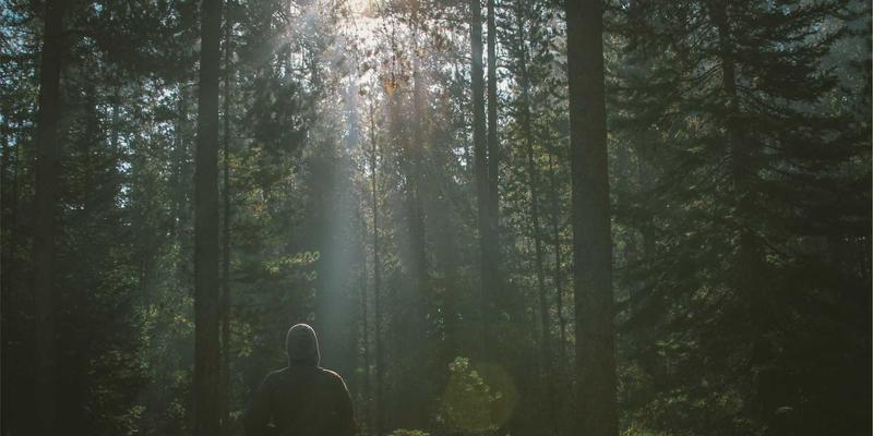 金融互助新模式：投资理财与理财规划如何破解小微企业融资困局