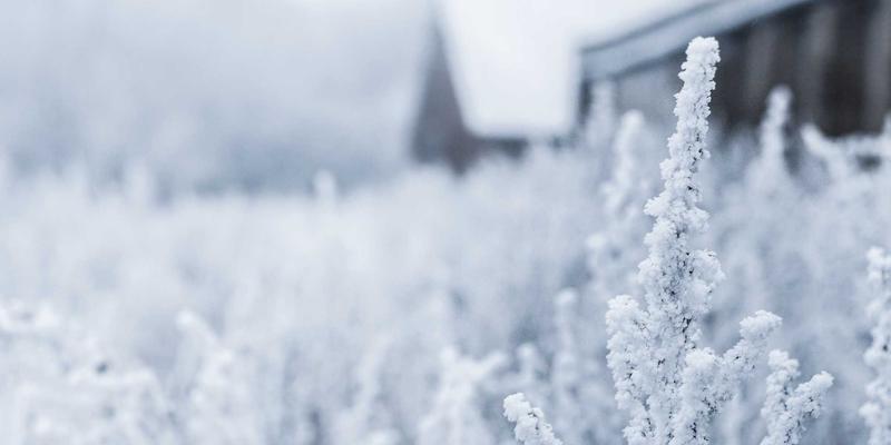 金融互助案例分析:从理财规划视角看投资理财的新模式与风险防范