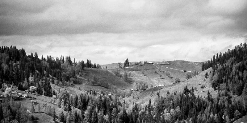 金融互助社群中的领导者角色：驾驭责任、权力与风险管控的艺术