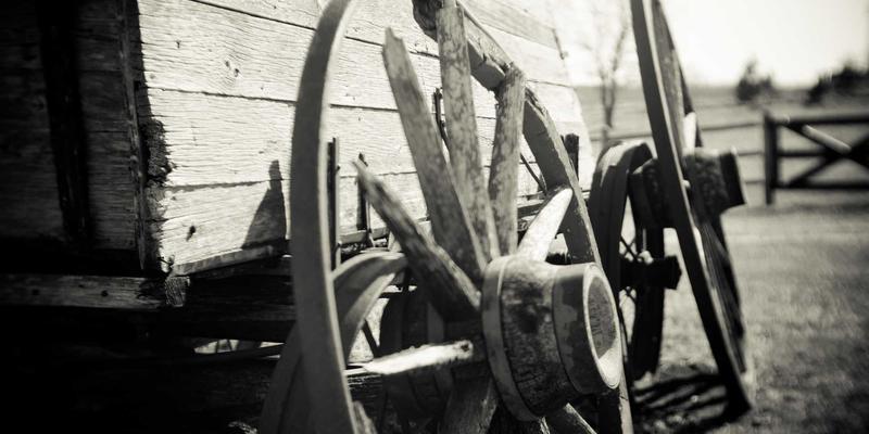 金融互助:财富管理新思维,开启投资理财与规划新路径